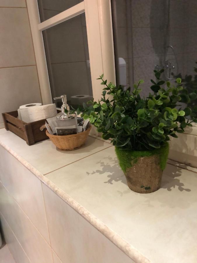 Cozy Central Apartment براشوف المظهر الخارجي الصورة